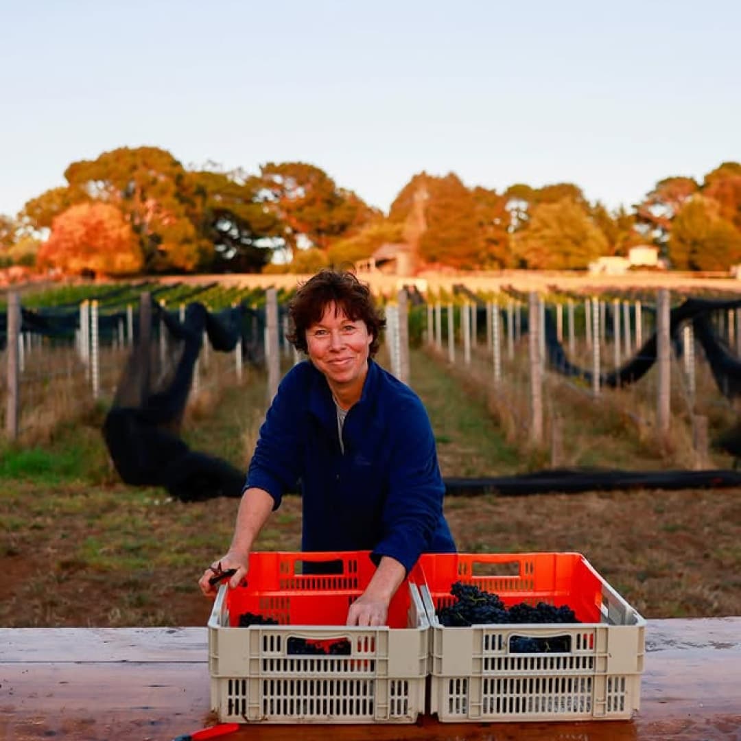 Cover image for Brigitte Hafner's Best of Melbourne